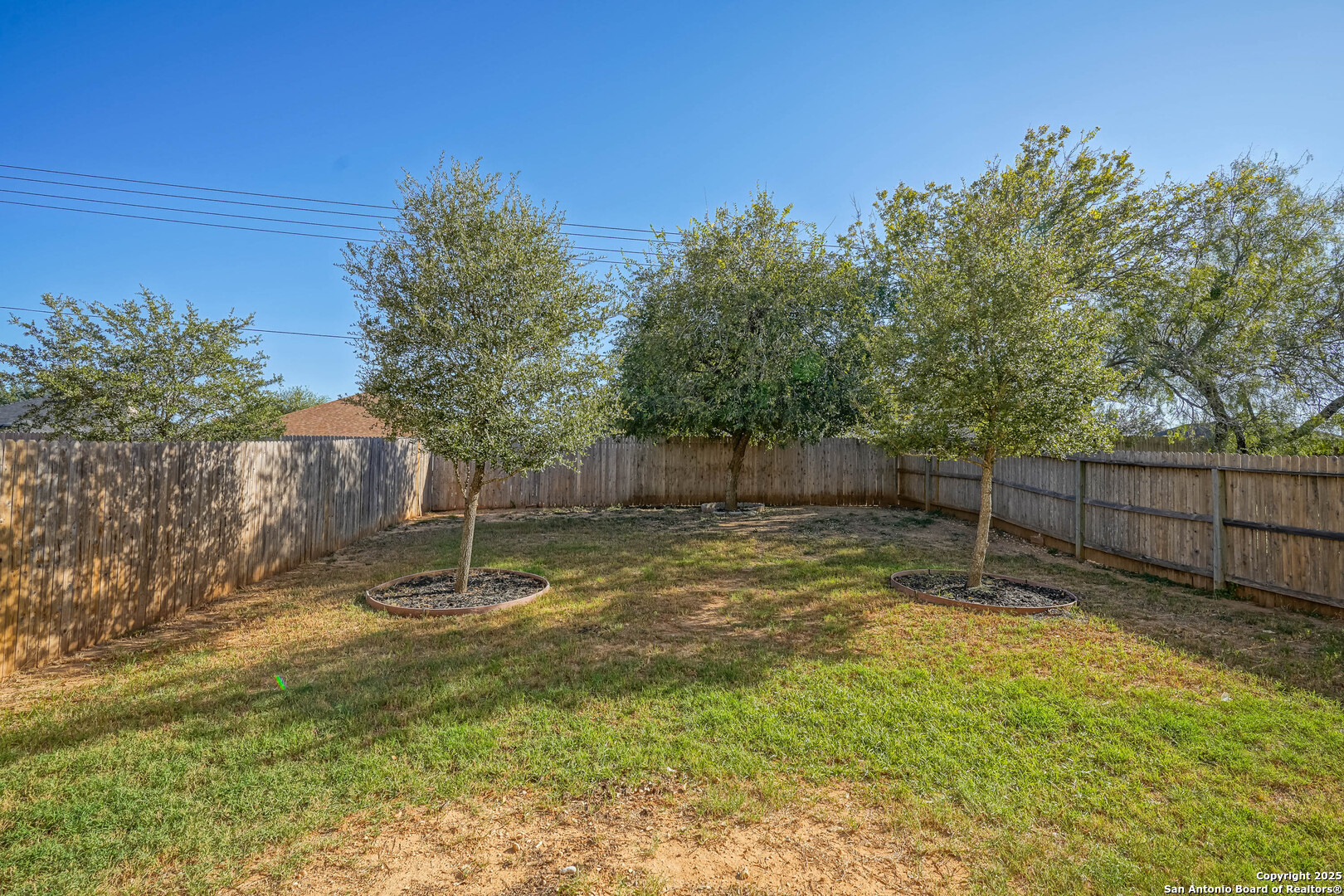 438 Walnut Crest Selma, TX 78154 - Photo 31 of 33 a backyard of a house