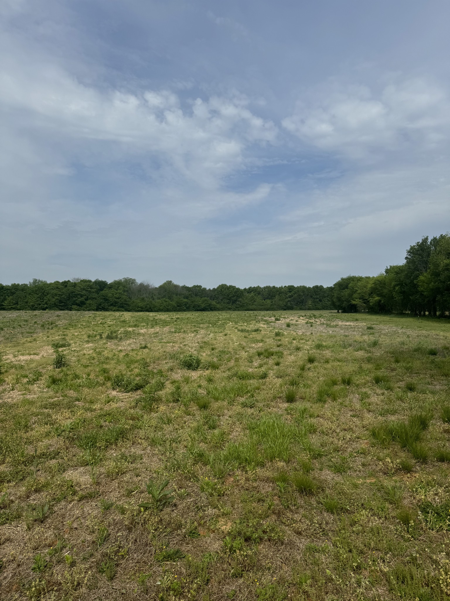 0 Armstrong Valley Road Murfreesboro, TN 37128 - Photo 2 of 9