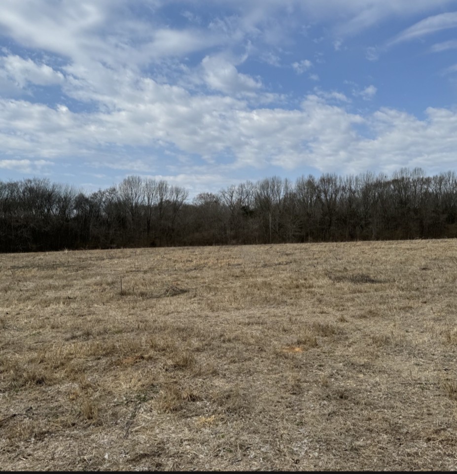 0 Armstrong Valley Road Murfreesboro, TN 37128 - Photo 3 of 9