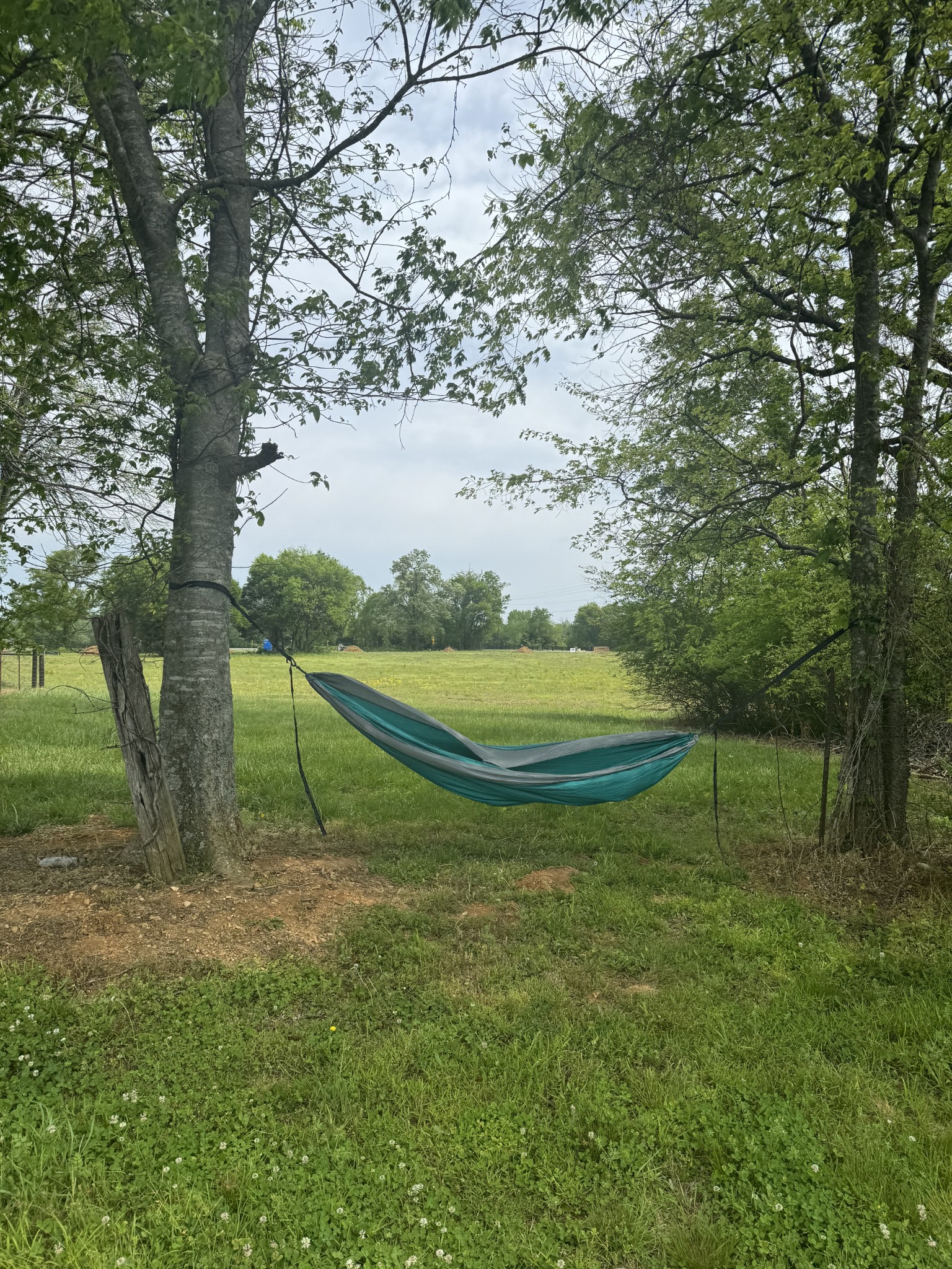 0 Armstrong Valley Road Murfreesboro, TN 37128 - Photo 4 of 9