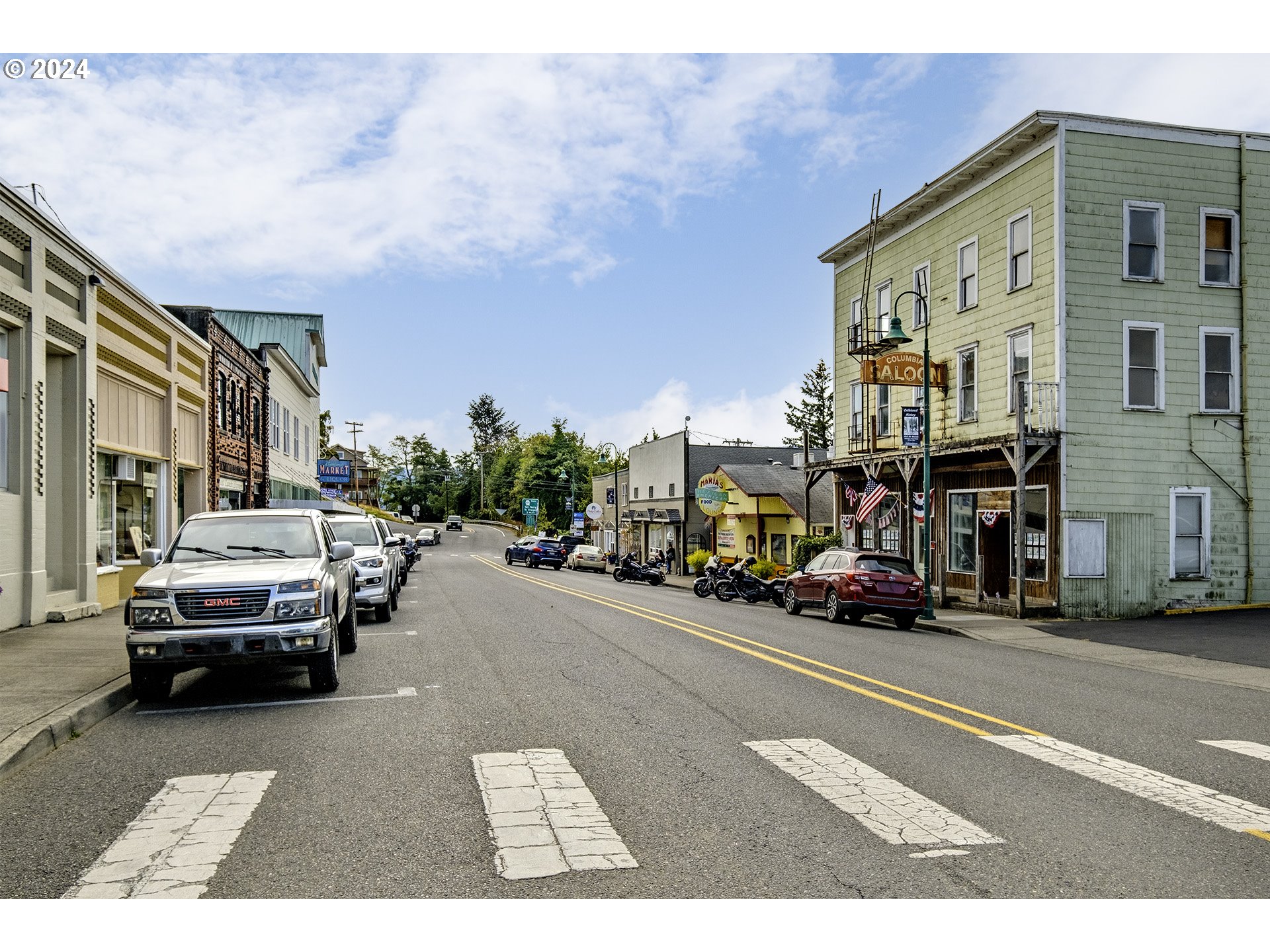 South Welcome Slough Road Cathlamet, WA 98612 - Photo 10 of 12