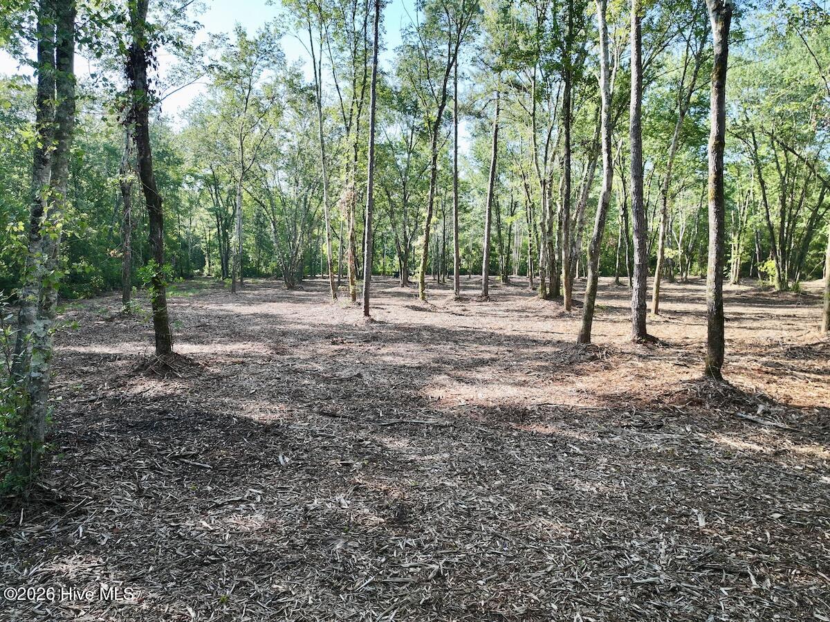 29 Guinea Mill Road Ernul, NC 28527 - Photo 11 of 27 Gallery Image 11