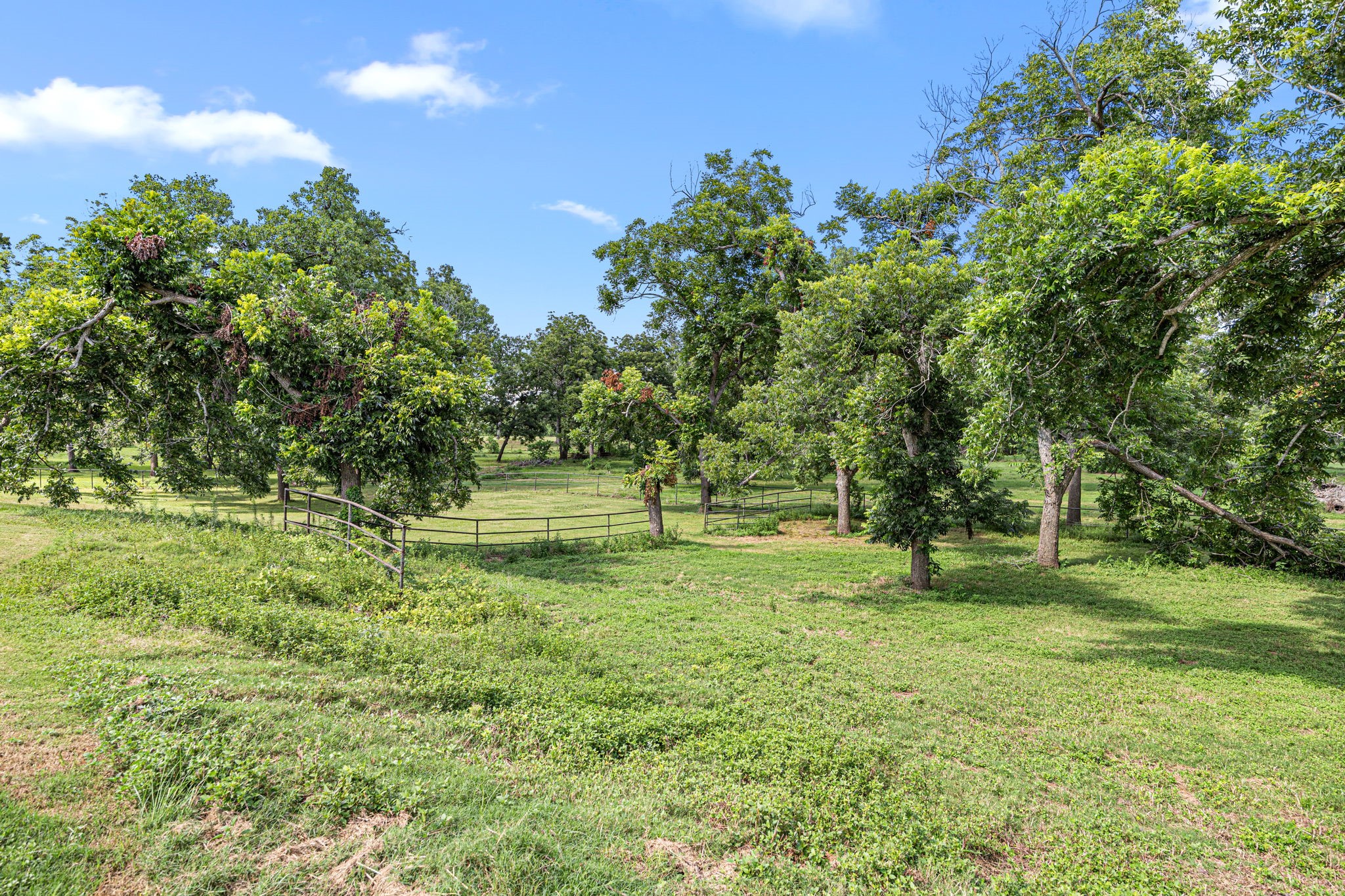 0 Baker Road Rosenberg, TX 77471 - Photo 2 of 9 a view of a park