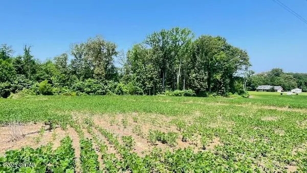 $100,000 | 0 Roy Hargrove Road, Medina, TN 38355