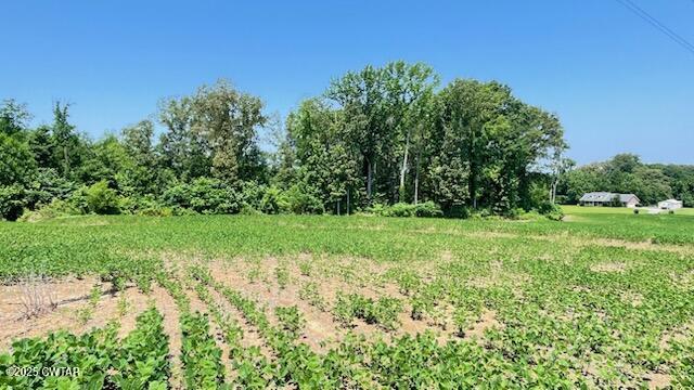 0 Roy Hargrove Road Medina, TN 38355 - Photo 2 of 9 IMG_8359