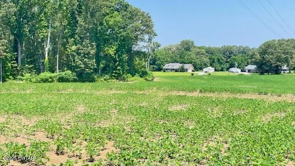 $100,000 | 0 Roy Hargrove Road, Medina, TN 38355