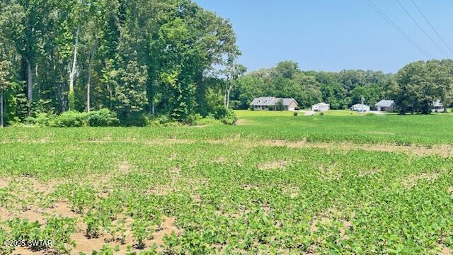 0 Roy Hargrove Road Medina, TN 38355 - Photo 3 of 9 IMG_8358