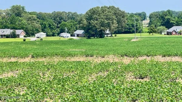 $100,000 | 0 Roy Hargrove Road, Medina, TN 38355