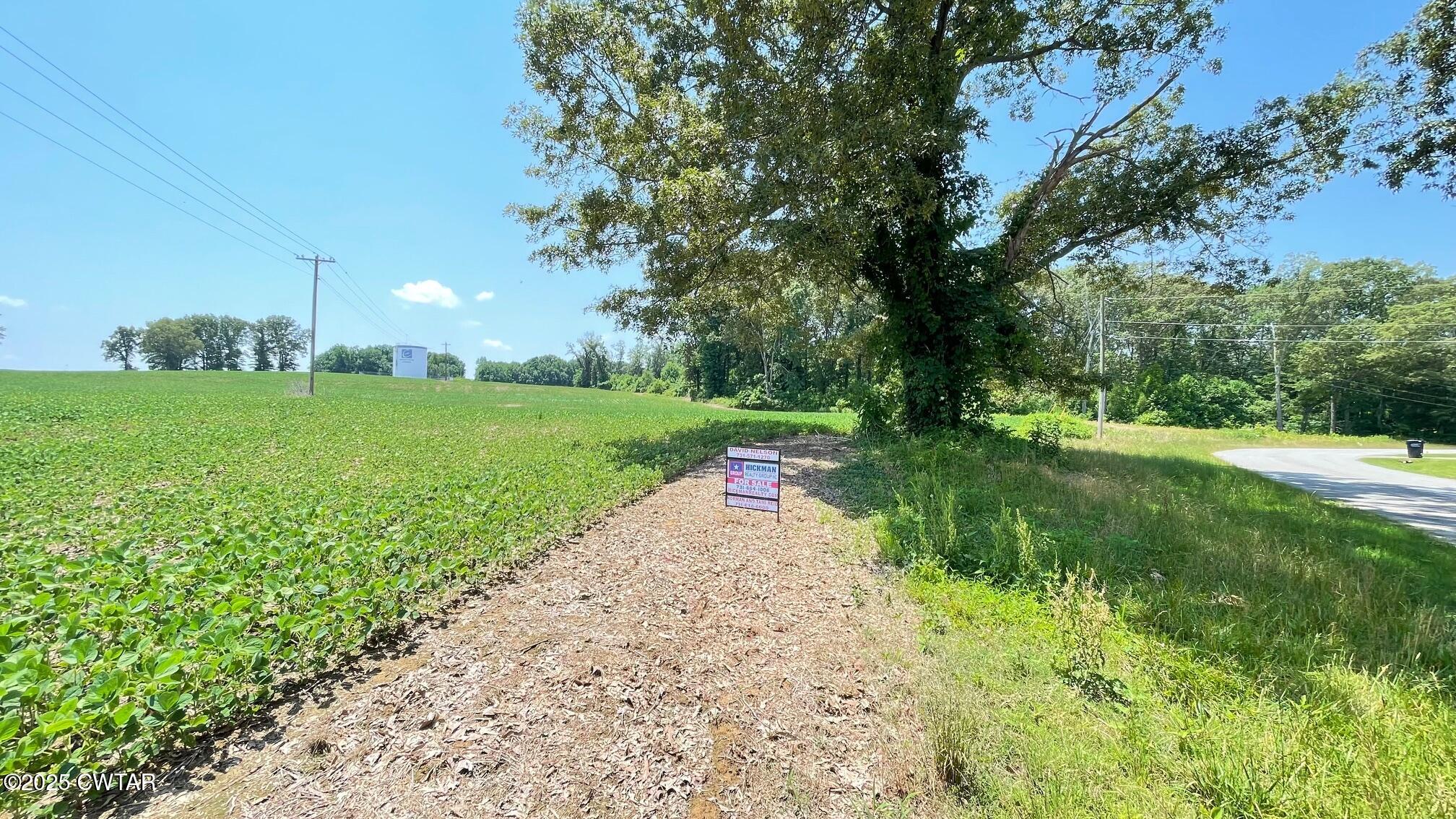 0 Roy Hargrove Road Medina, TN 38355 - Photo 5 of 9 IMG_8383