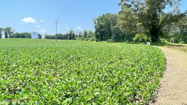 $100,000 | 0 Roy Hargrove Road, Medina, TN 38355