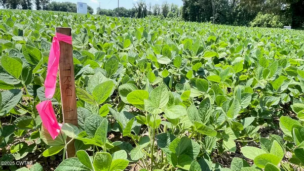 $100,000 | 0 Roy Hargrove Road, Medina, TN 38355