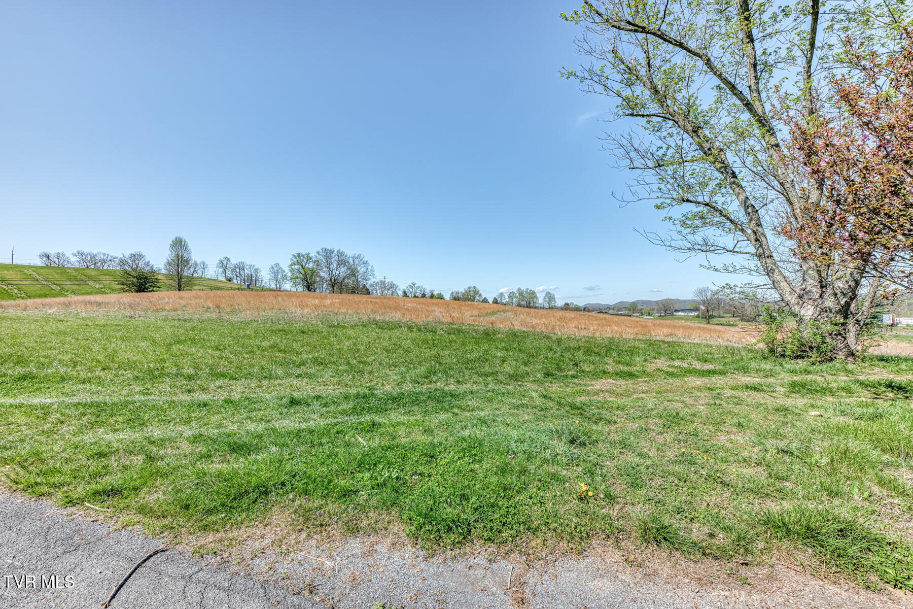 191 White Top Road Bluff City, TN 37618 - Photo 20 of 71 191 White Top Rd-27