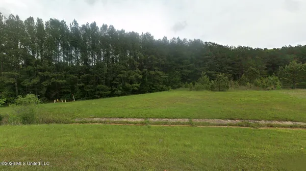 $18,400 | 45 N Highway, Waynesboro, MS 39367