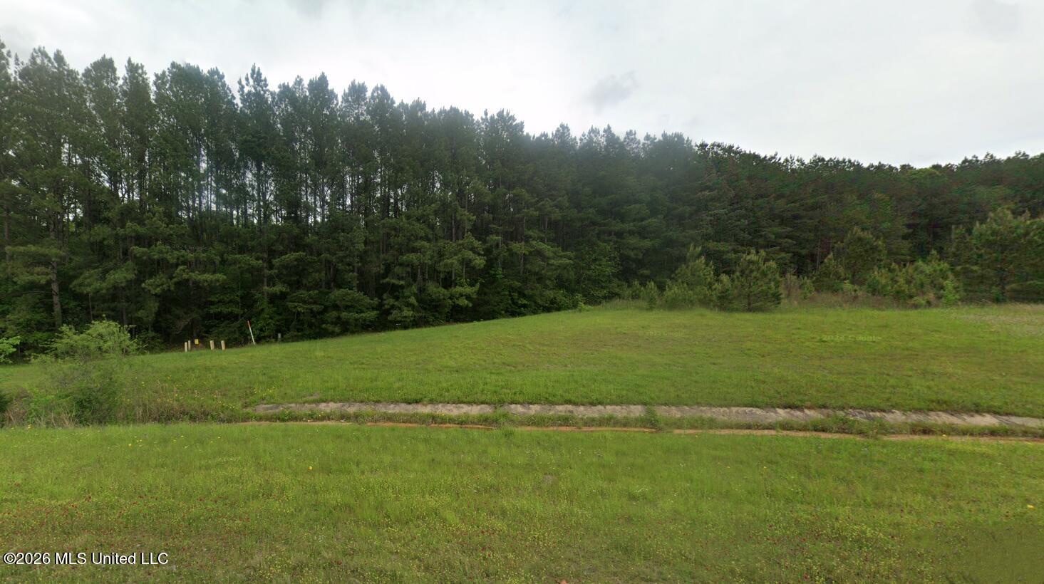 45 N Highway Waynesboro, MS 39367 - Photo 1 of 8 1