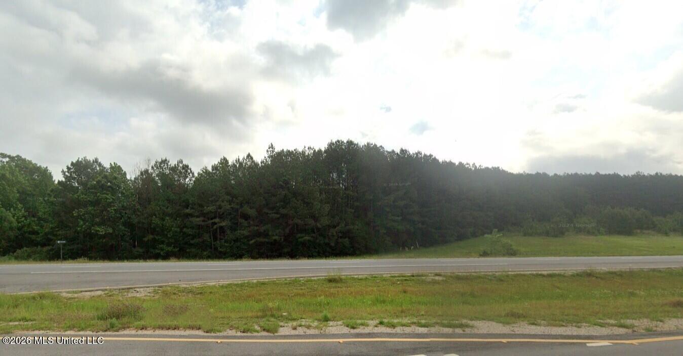 45 N Highway Waynesboro, MS 39367 - Photo 5 of 8 5