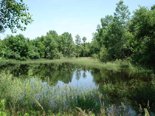 22413 Capron Road Capron, IL 61012 - Photo 3 of 6 a view of a lake view with a garden