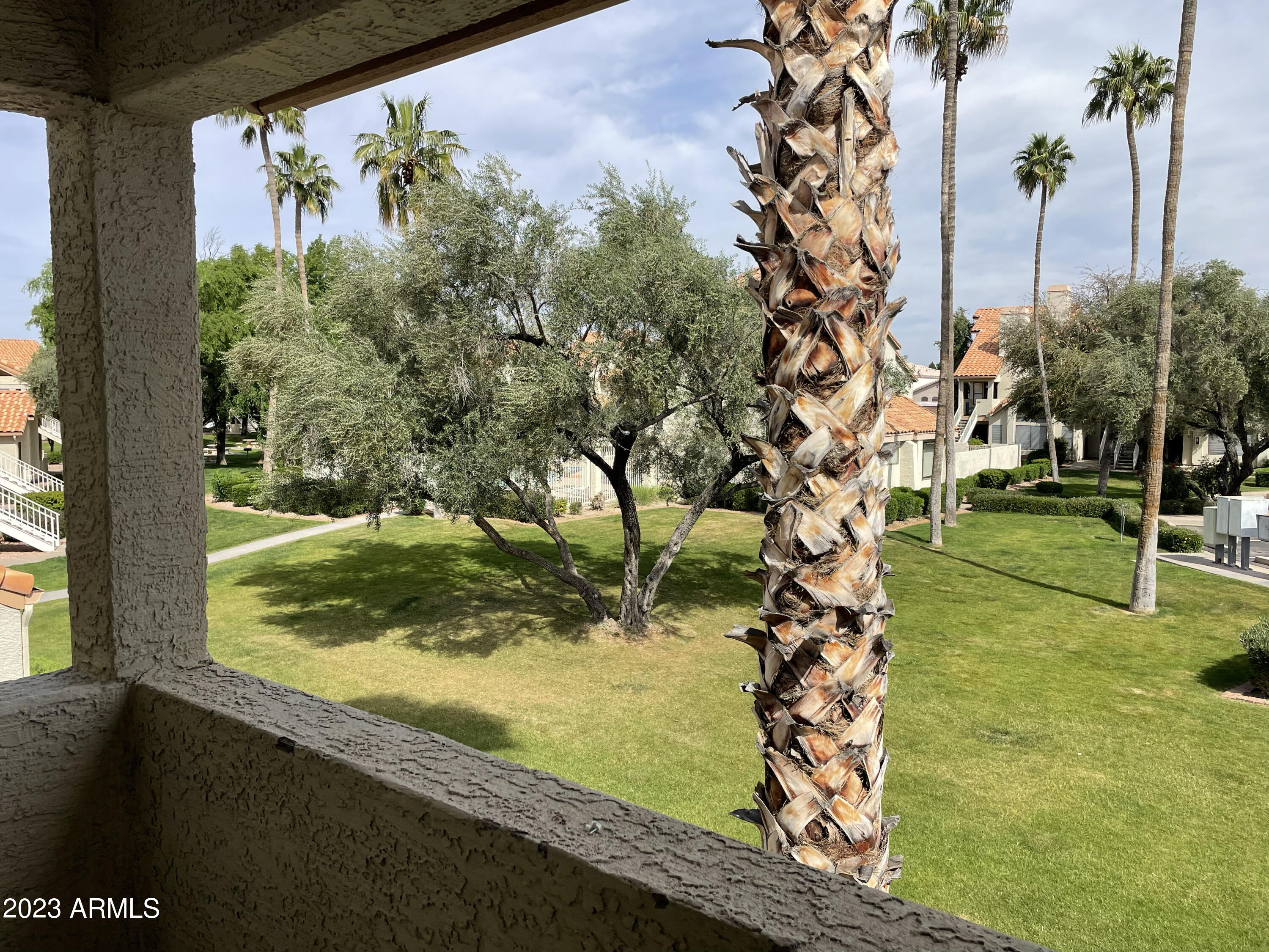 19820 North 13th Avenue, Unit 206 Phoenix, AZ 85027 - Photo 3 of 22 a view of a yard with plants