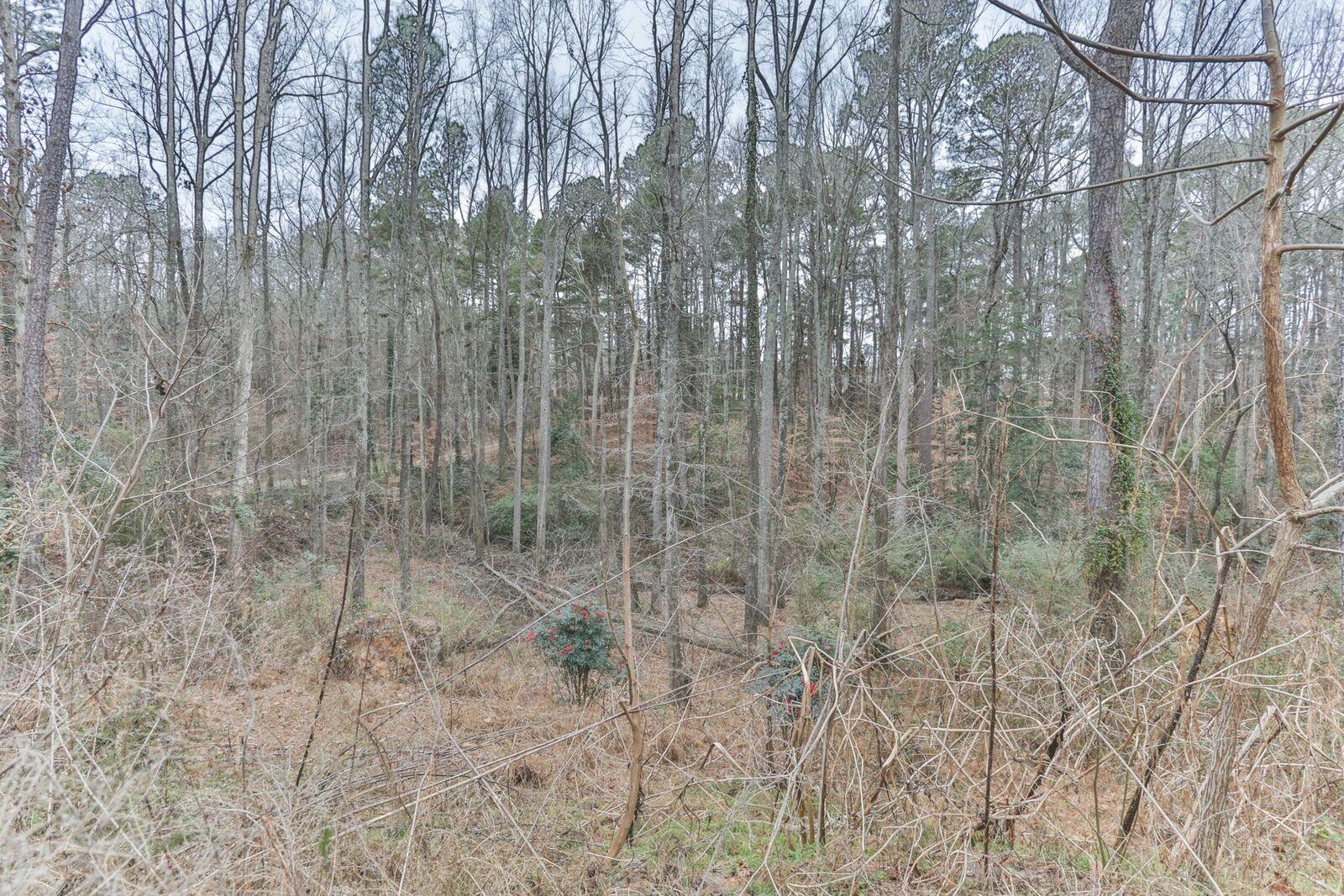185 Gibson Drive Rockingham, NC 28379 - Photo 49 of 60 1O8A7435_preview.jpeg
