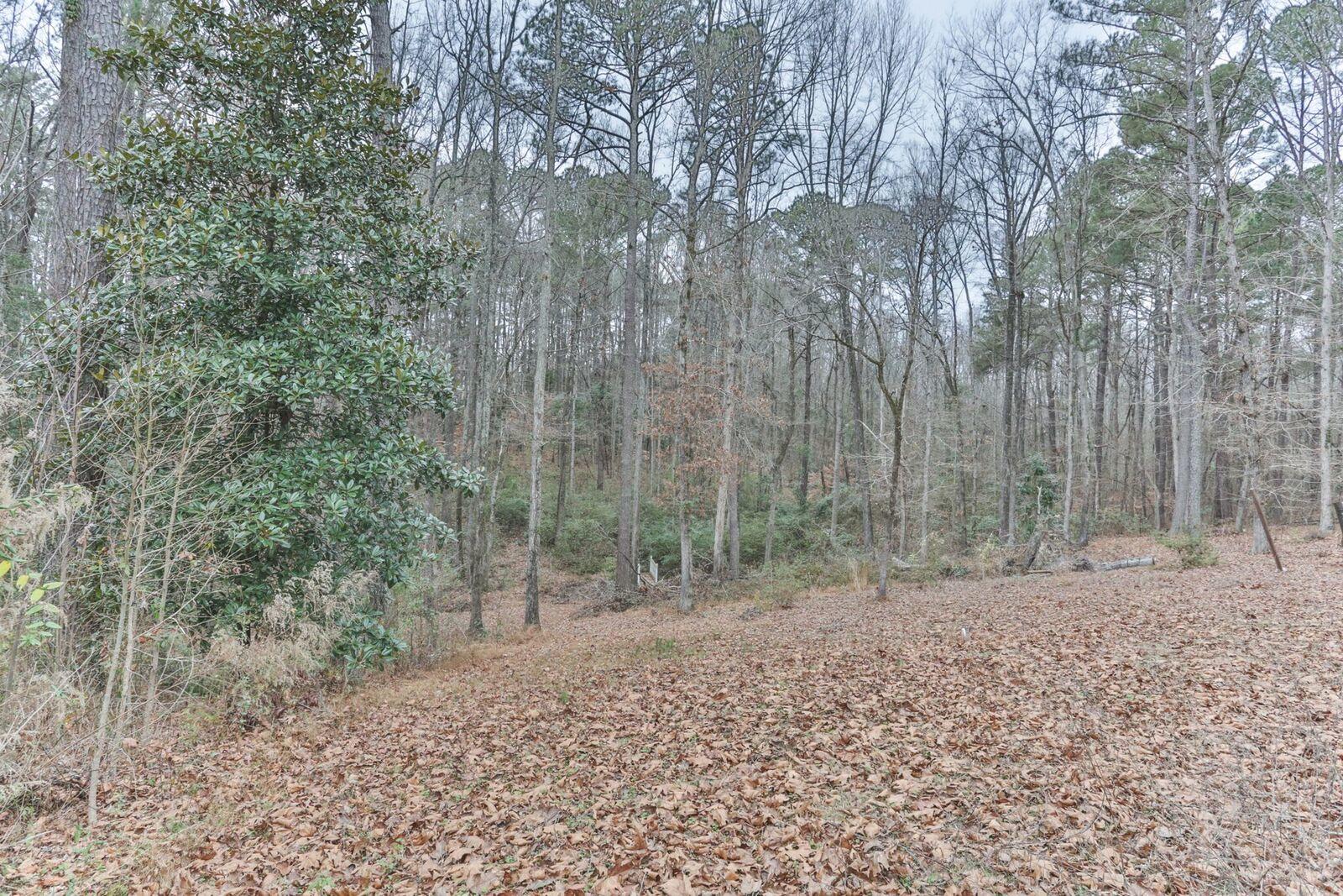 185 Gibson Drive Rockingham, NC 28379 - Photo 50 of 60 1O8A7439_preview.jpeg
