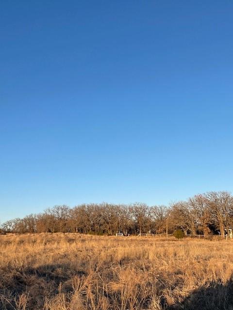 8496 Lavender Road Springtown, TX 76082 - Photo 3 of 3
