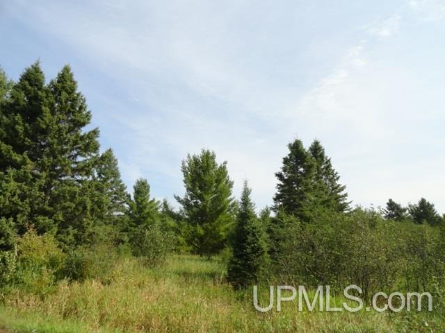 Tbd M28 @ German Road Bruce Crossing, MI 49912 - Photo 3 of 6