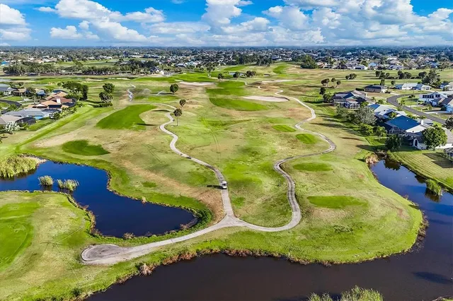a view of a swimming pool with a lot of trees in the background