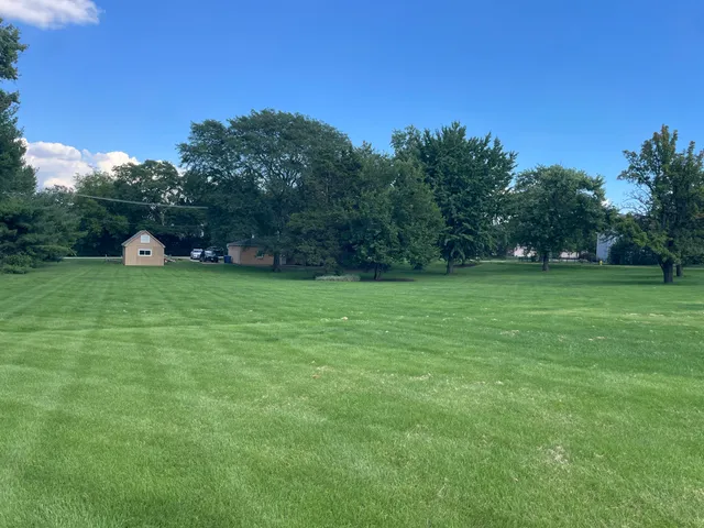 a view of a grassy field with trees in the background