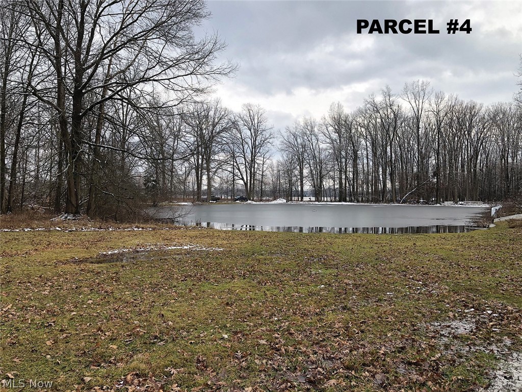 Yale Road Diamond, OH 44412 - Photo 6 of 8 Gallery Image 6