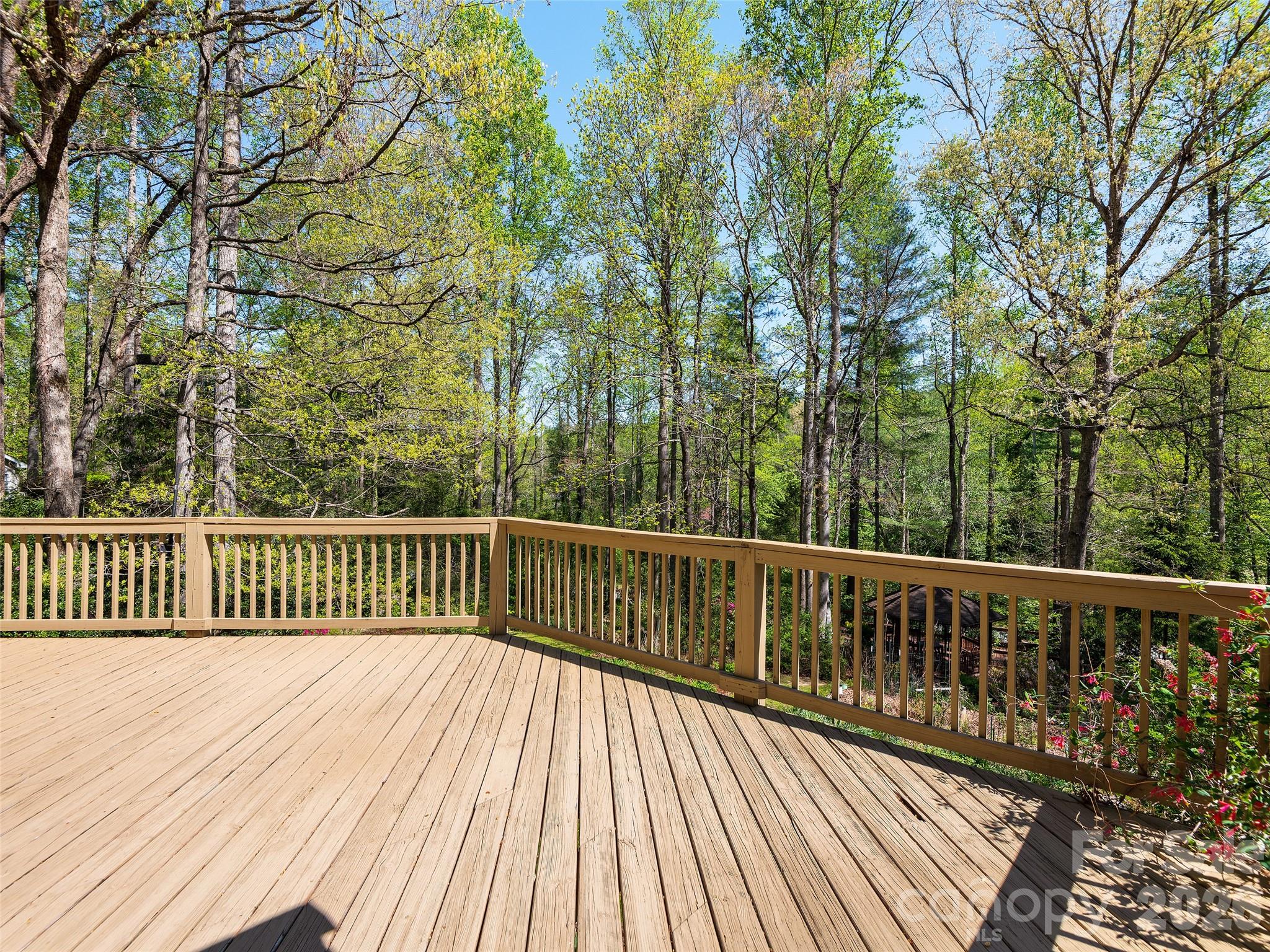 2401 Little River Road Hendersonville, NC 28739 - Photo 16 of 48