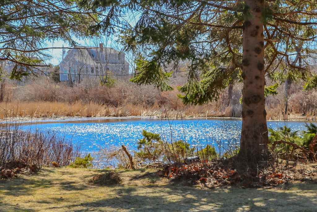 12 Shoals View Drive Rye, NH 03870 - Photo 33 of 38