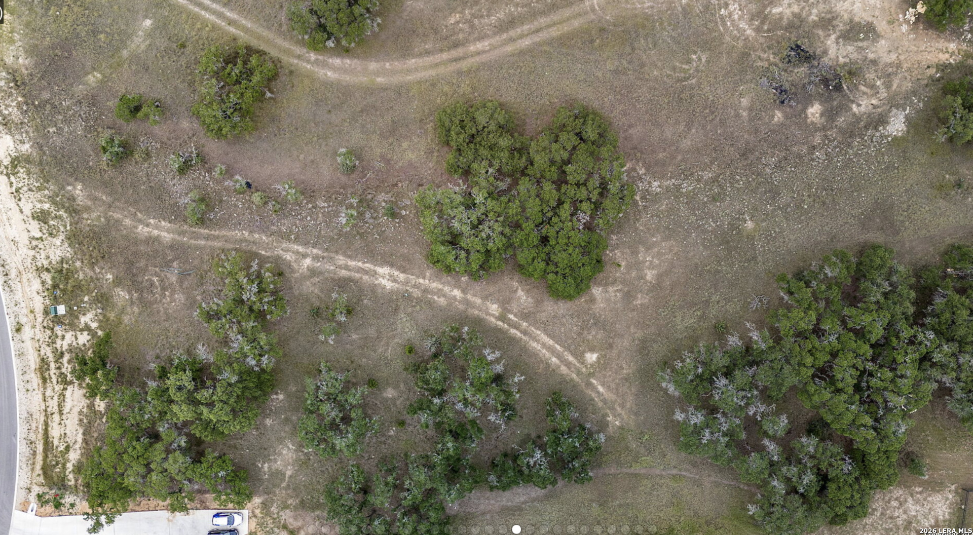 34788 High Gate Road Bulverde, TX 78163 - Photo 14 of 29 a view of a yard with plants and flowers