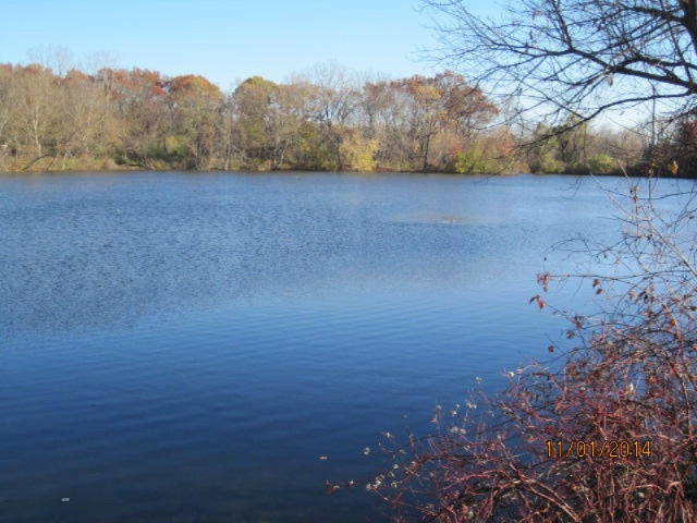 3759 Cedaridge Road Kalamazoo, MI 49008 - Photo 48 of 51 Big view of lake pretty