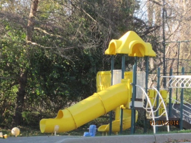 3759 Cedaridge Road Kalamazoo, MI 49008 - Photo 51 of 51 Playground slide