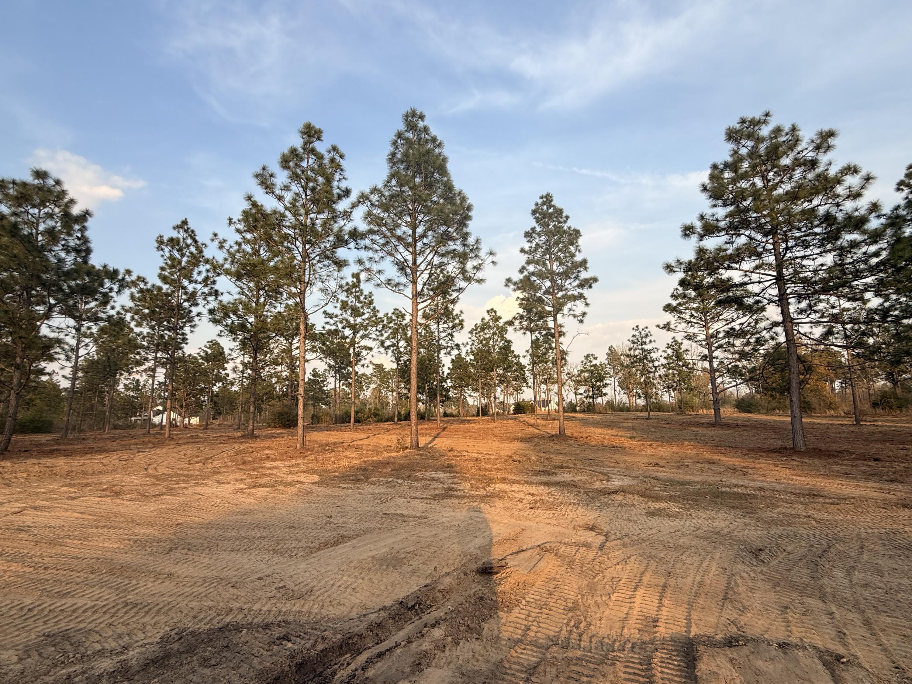 734 State Park Road Windsor, SC 29856 - Photo 5 of 12