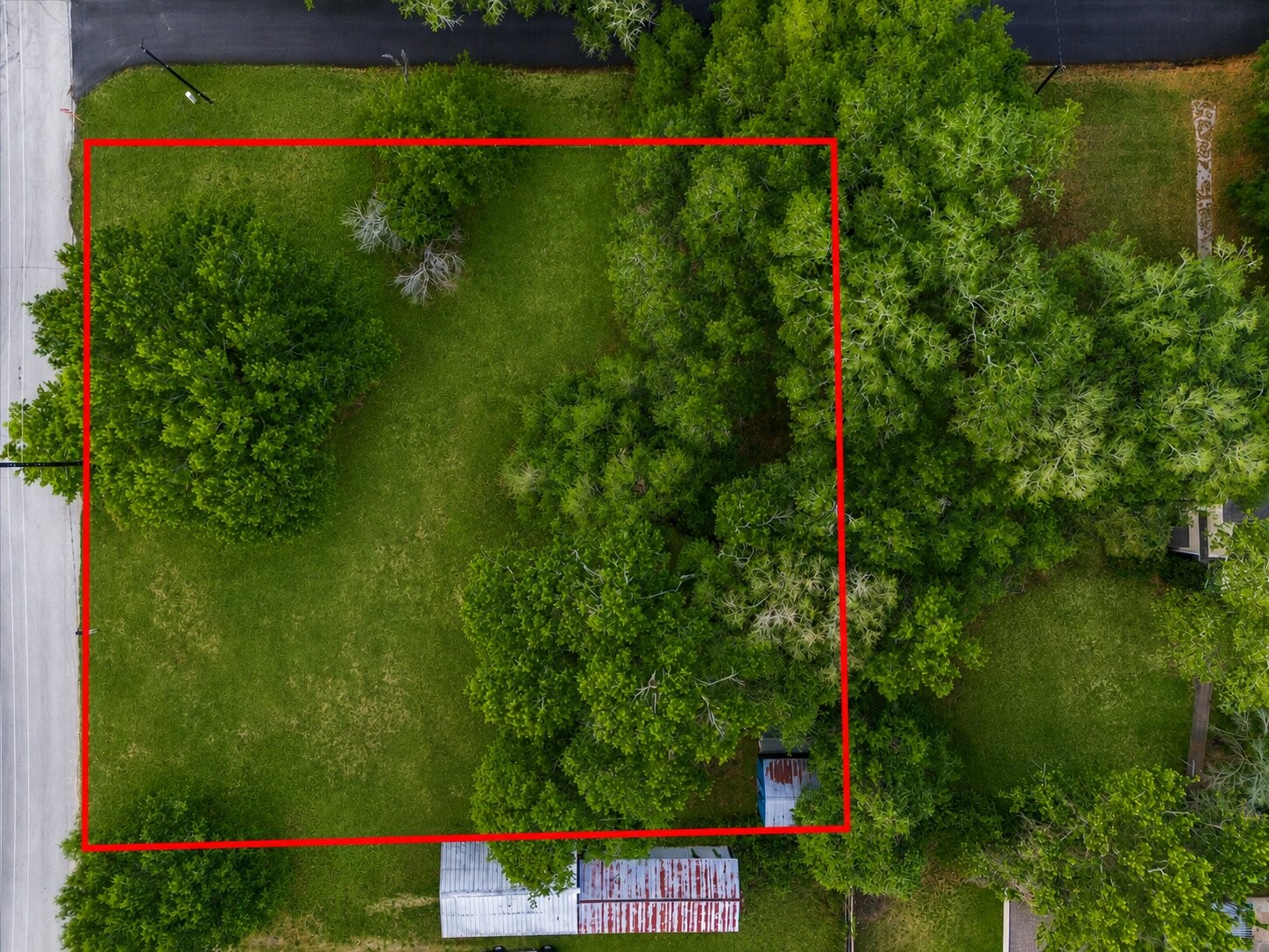 8407 Wilson Street Fulshear, TX 77441 - Photo 8 of 16