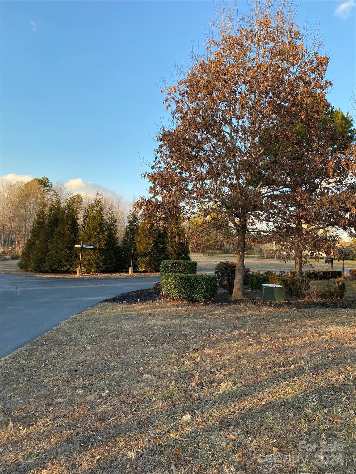0 Doveridge Drive, Unit 53 Tryon, NC 28782 - Photo 3 of 11 Gallery Image 3