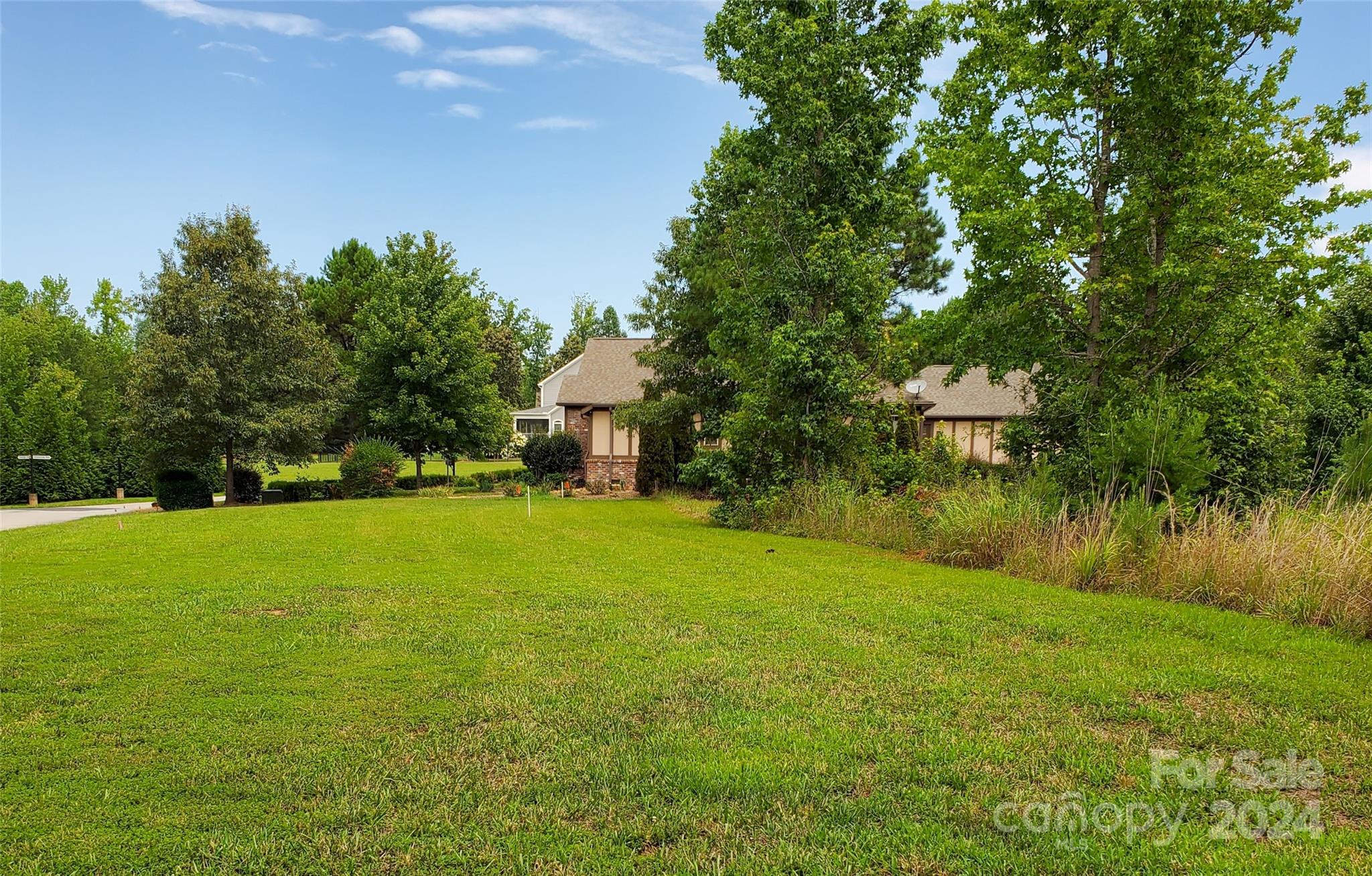 0 Doveridge Drive, Unit 53 Tryon, NC 28782 - Photo 4 of 11 Gallery Image 4