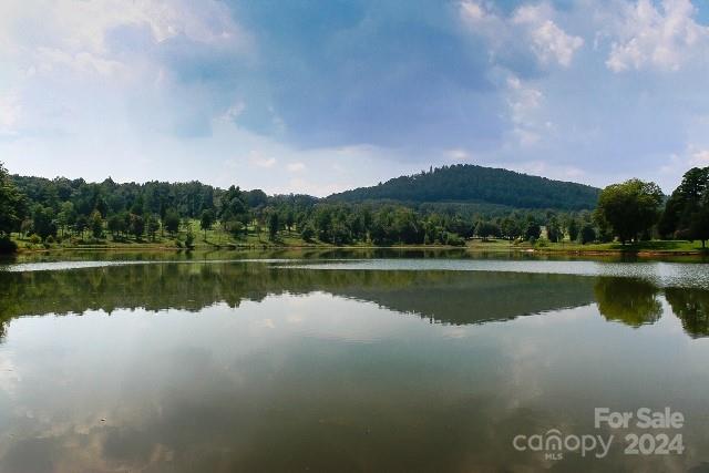 0 Doveridge Drive, Unit 53 Tryon, NC 28782 - Photo 8 of 11 Gallery Image 8