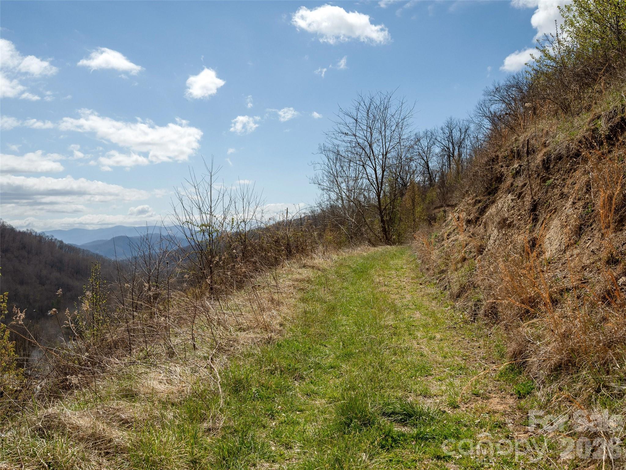 Tbd Wilson Cove Road Canton, NC 28716 - Photo 3 of 23