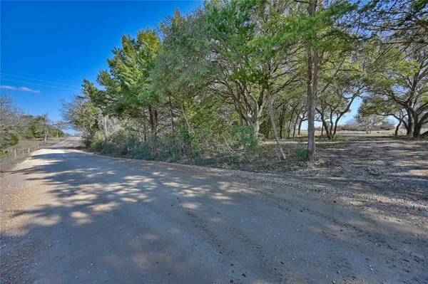 a view of dirt yard with a large tree