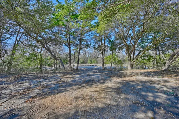 a view of a yard with tree s
