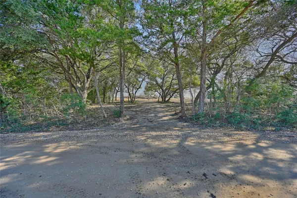 a view of dirt yard with a large tree