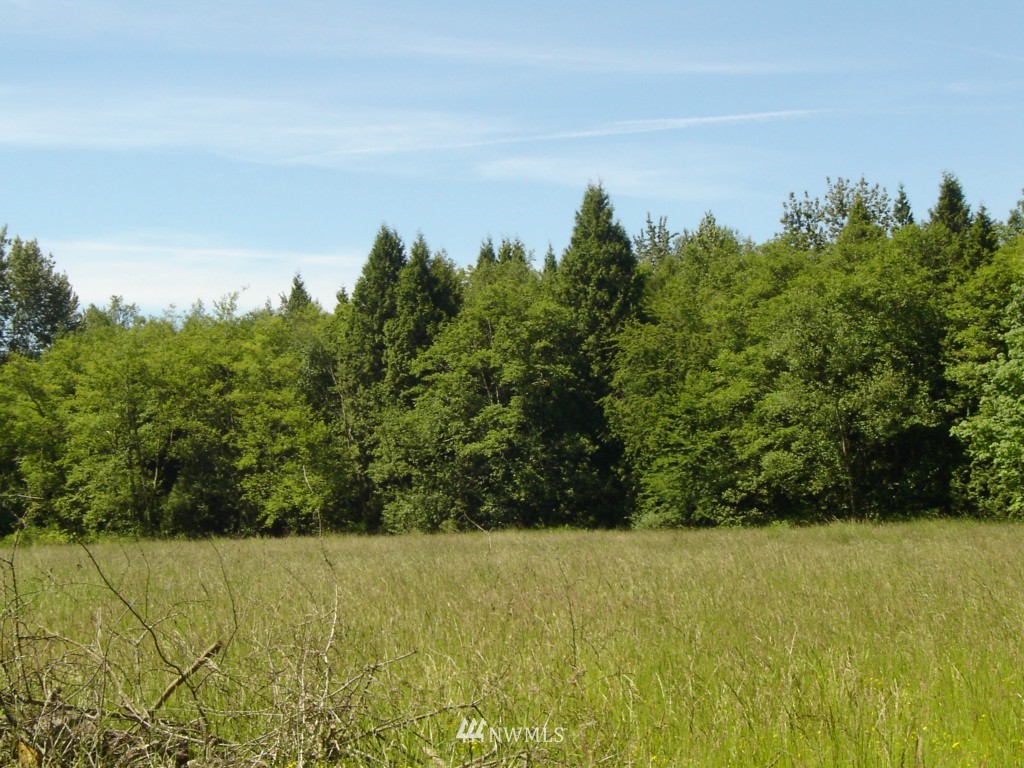 40-xx Brown Road Ferndale, WA 98248 - Photo 1 of 5 Gallery Image 1