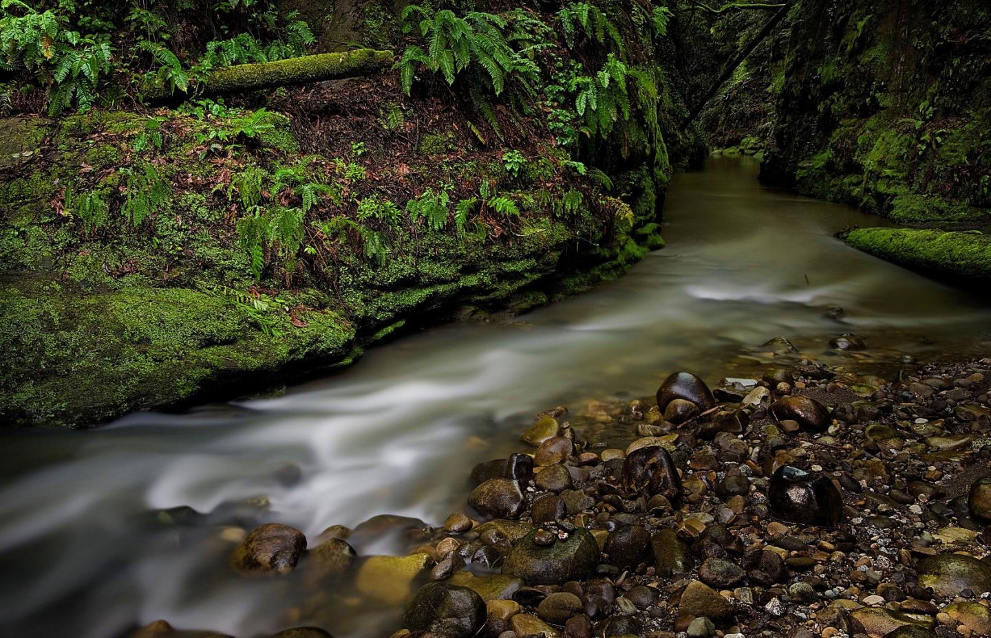7325 Viewpoint Road Aptos, CA 95003 - Photo 51 of 51 a view of a pathway with a yard