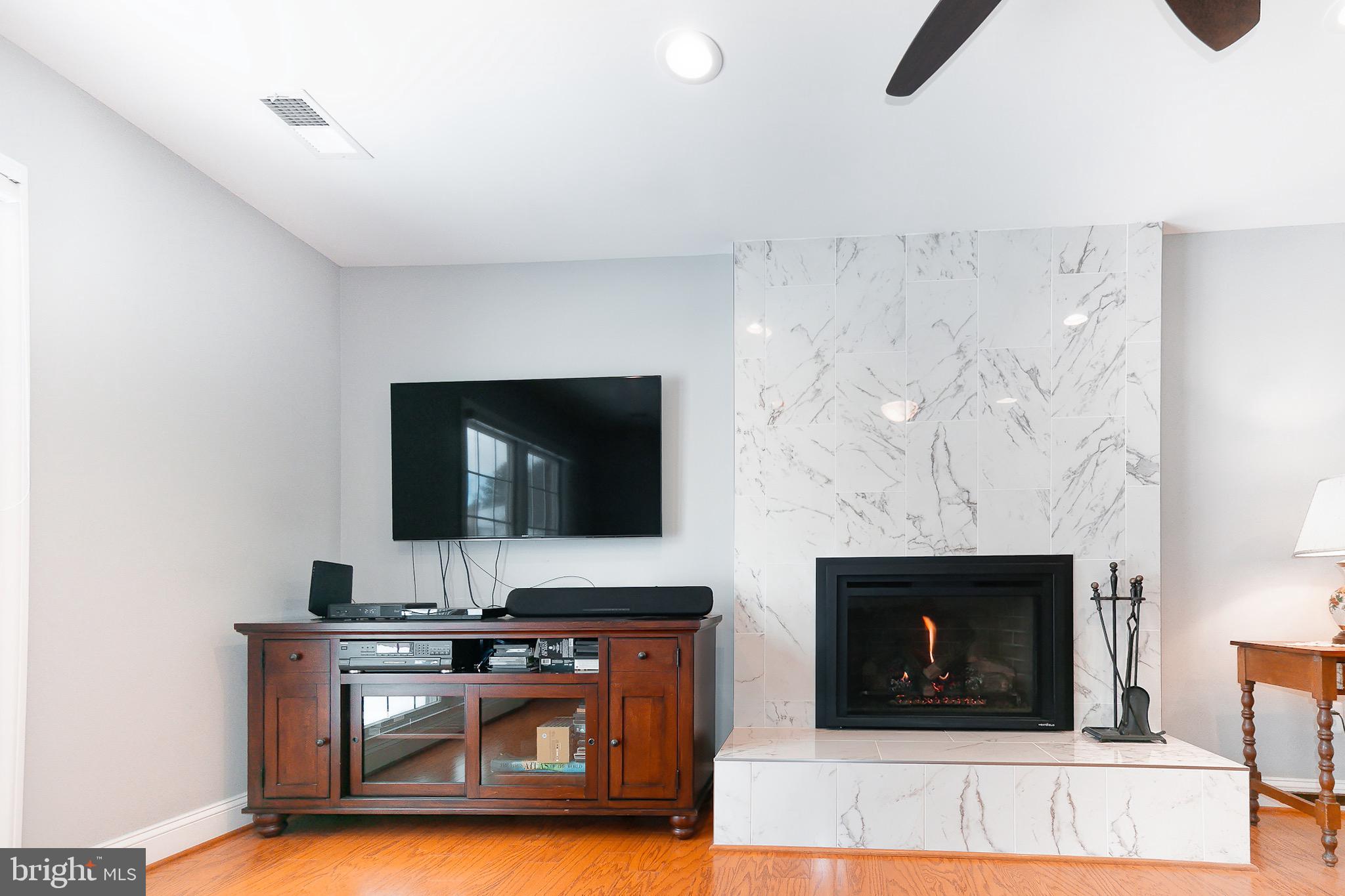 13425 Point Pleasant Drive Chantilly, VA 20151 - Photo 10 of 24 GORGEOUS GAS FIREPLACE