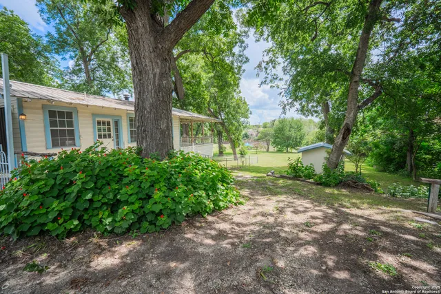 a view of a yard with plants and trees