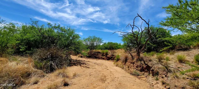 $52,900 | Lot 116 West Stetson Drive, Unit 116, Elfrida, AZ 85610