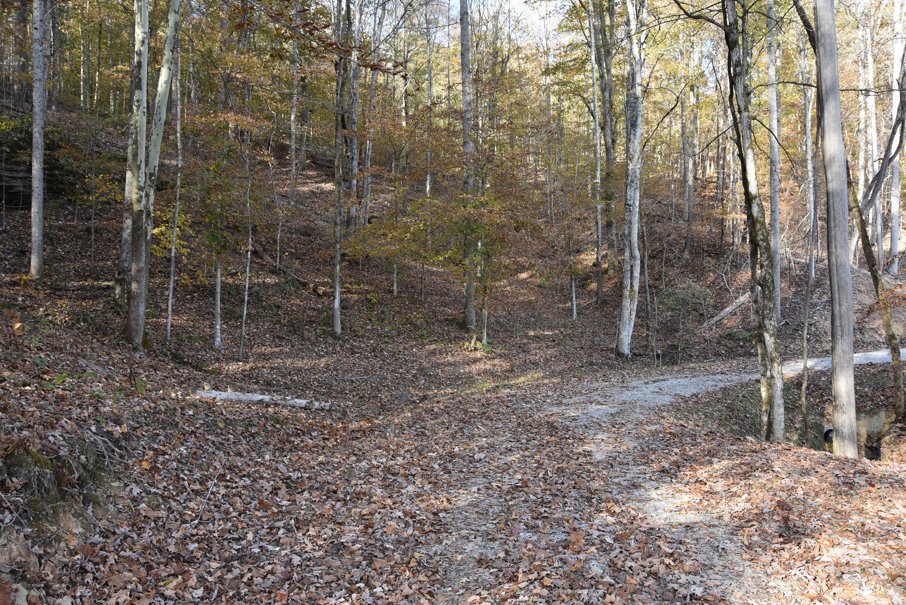 740 Harmon Road Somerset, KY 42501 - Photo 7 of 69 DSC_3215