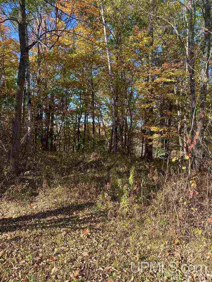 T-wi Wi 54534 Road Hurley, WI 54534 - Photo 15 of 35