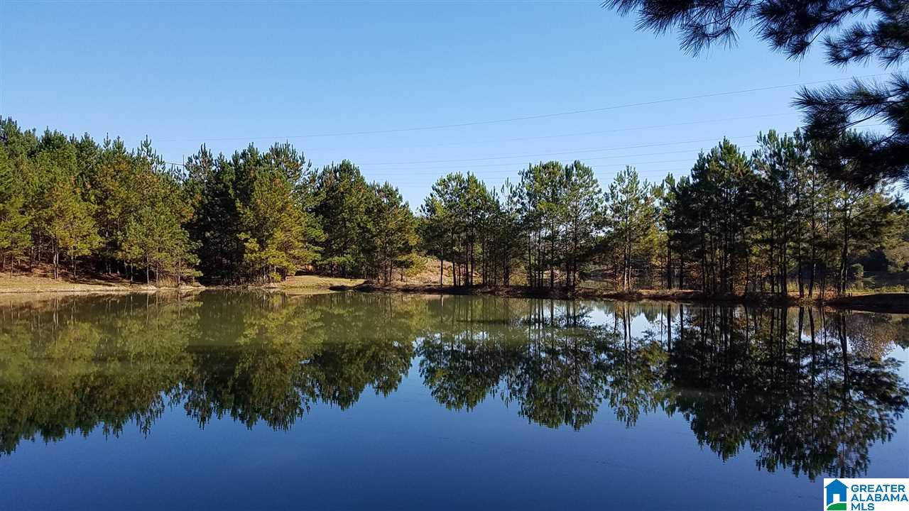 298 Bowerman Road Blountsville, AL 35031 - Photo 24 of 30